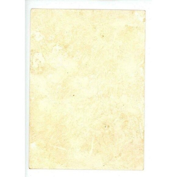 1880's Beautiful Victorian Embossed Springtime Blooming Flowers! - Picture 9 of 9